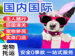 宜宾五粮液国际宠物托运 【国
